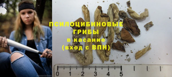твердый Аркадак