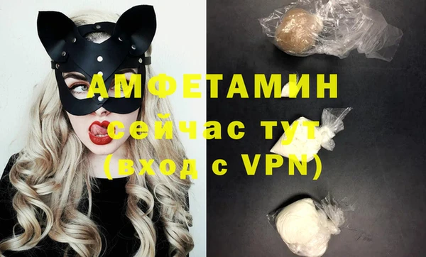 твердый Аркадак
