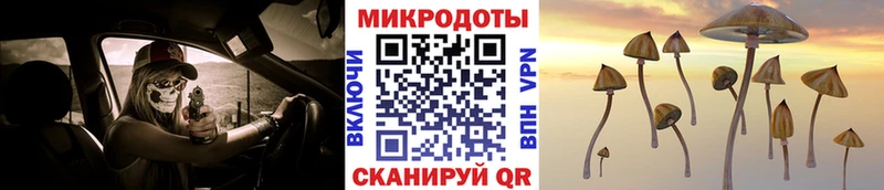 Галлюциногенные грибы Psilocybine cubensis  Белая Холуница 